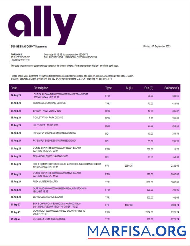 Printable Ally Bank enterprise statement Word and PDF template